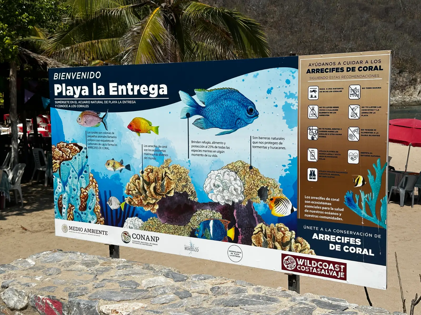 Beach sign showing the various delights found in the water
