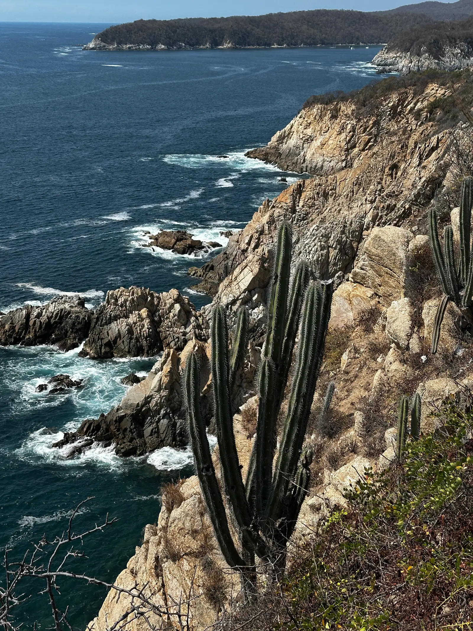 View from the light house
