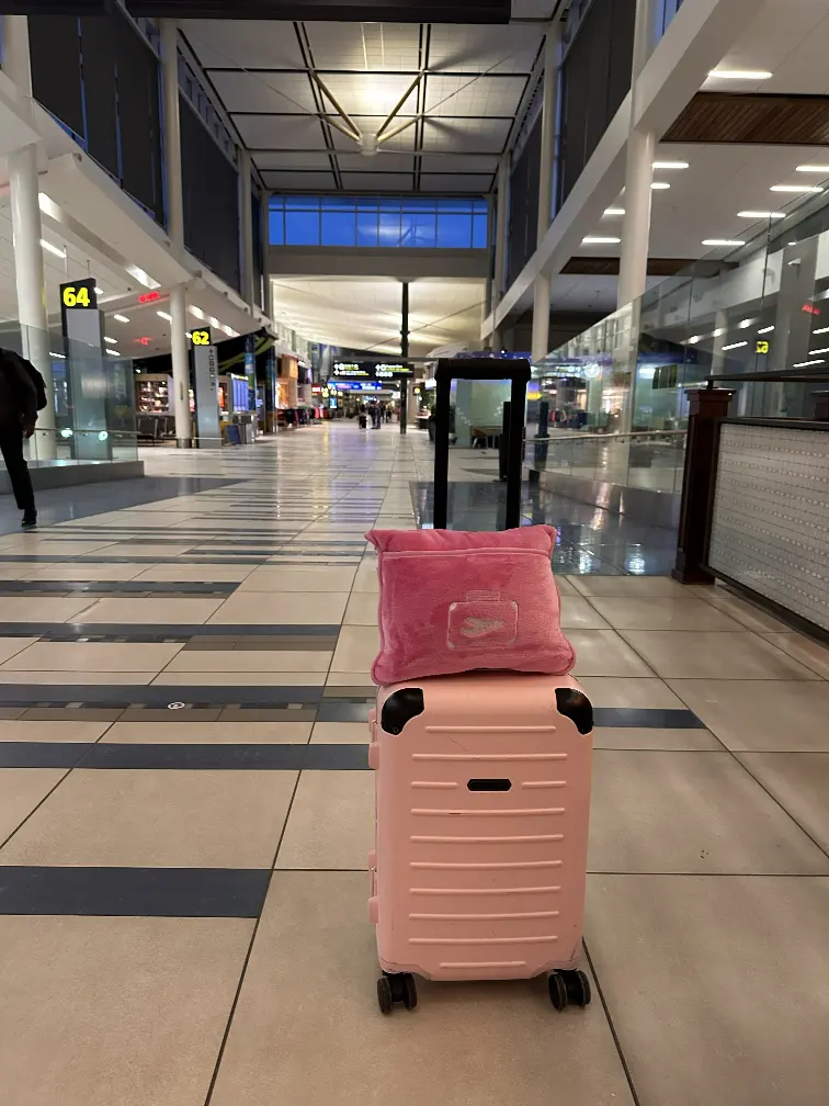 Airport with traveller